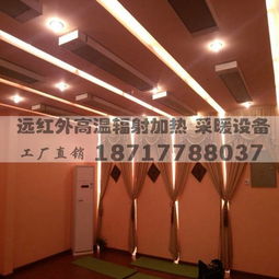 九源SRJF-30远红外辐射板 汗蒸房顶棚加热的革新之选
